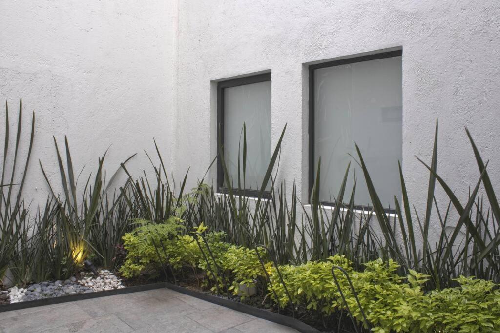 Loft Con Balcon En Roma Norte